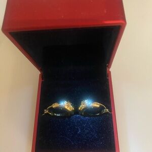 18K gold plated hoop earrings. Very shiny.